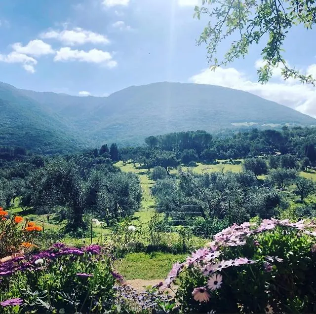 Agriturismo Is Conchisceddas Gonnosfanàdiga Alloggio per agriturismo