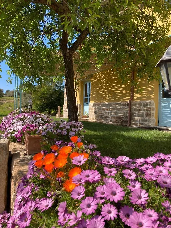 Alloggio per agriturismo Agriturismo Is Conchisceddas Gonnosfanàdiga