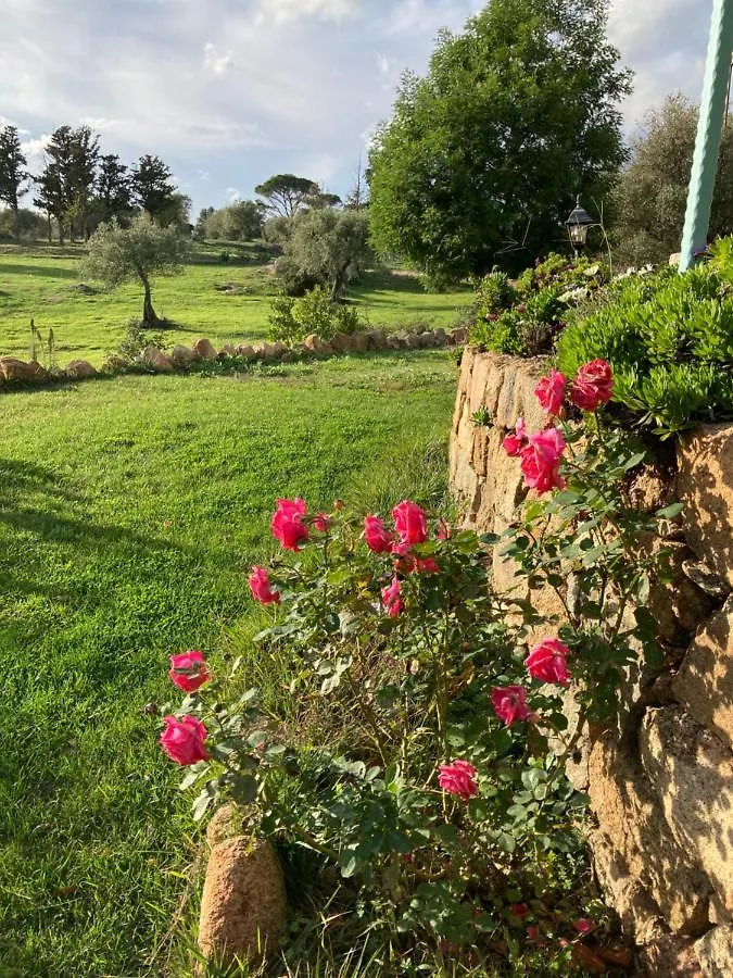 Agriturismo Is Conchisceddas Gonnosfanàdiga Alloggio per agriturismo