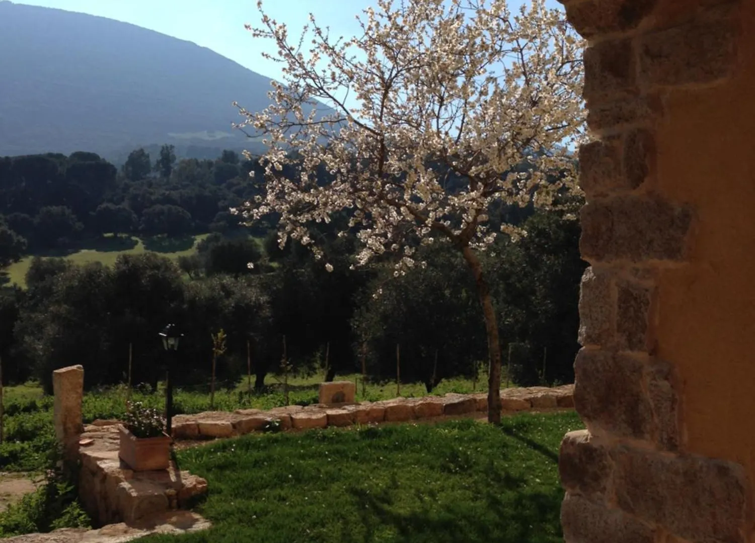 Agriturismo Is Conchisceddas Gonnosfanadiga Italy