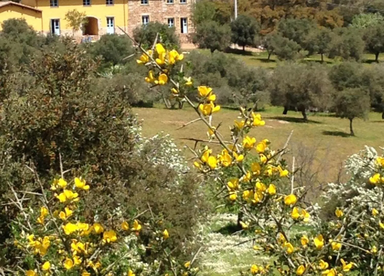 Agriturismo Is Conchisceddas Gonnosfanadiga
