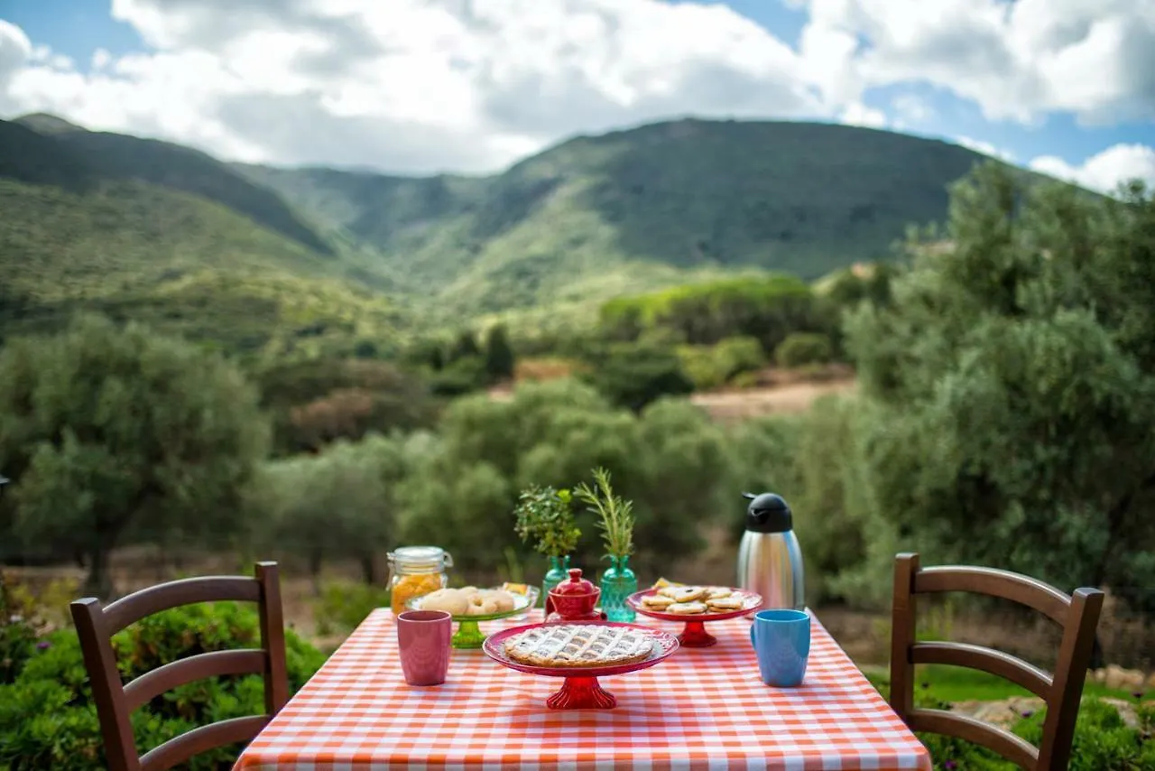 Agriturismo Is Conchisceddas Gonnosfanàdiga Italia