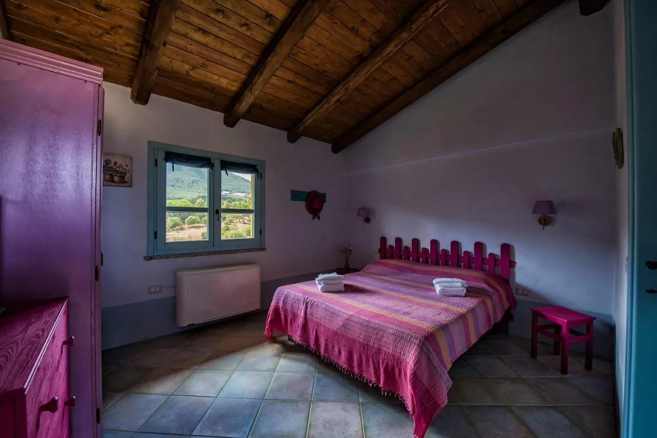 Agriturismo Is Conchisceddas Gonnosfanàdiga Alloggio per agriturismo