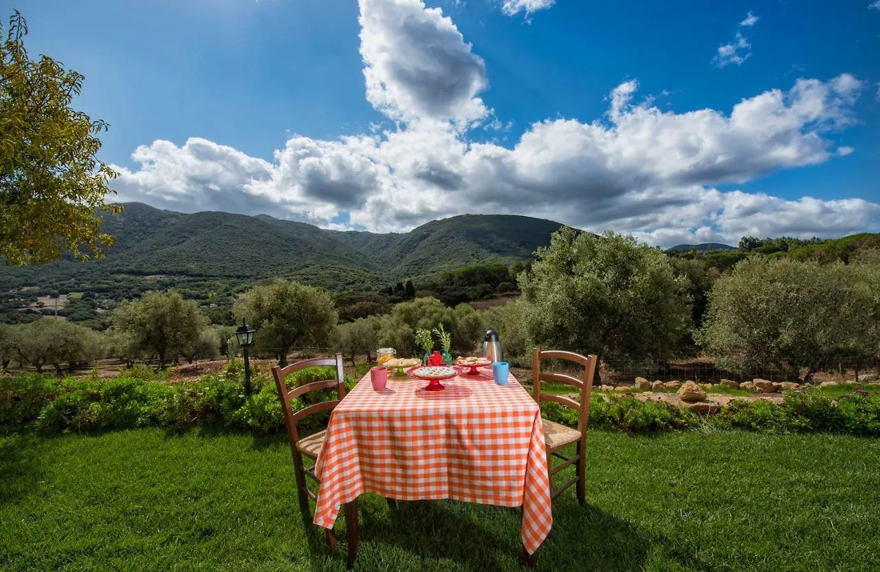 Agriturismo Is Conchisceddas Gonnosfanàdiga Alloggio per agriturismo