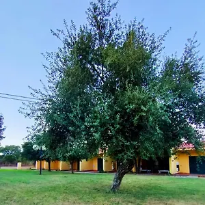 Nuraghe Ruiu Eco-camping Village Norbello